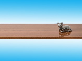 Золотой дуб глянец Moeller